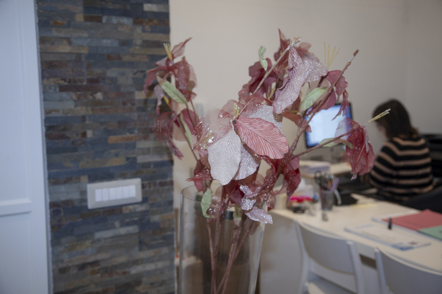 Ufficio Studio Remoli Pratiche Amministrative Roma